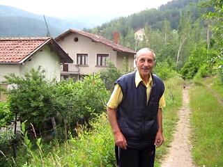 Бичи пред своя дом
